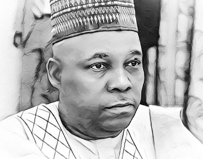 Senator Kashim Shettima