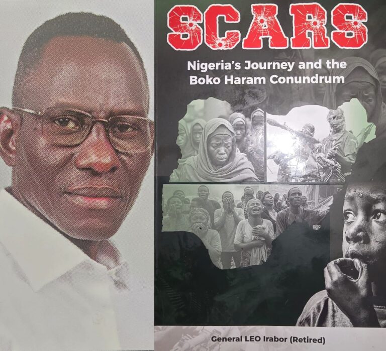 Irabor's book on Boko Haram